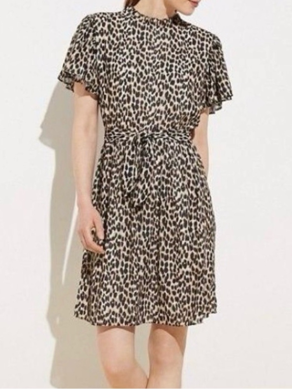 LOFT Leopard Print Tie-Waist Short Sleeve Dress